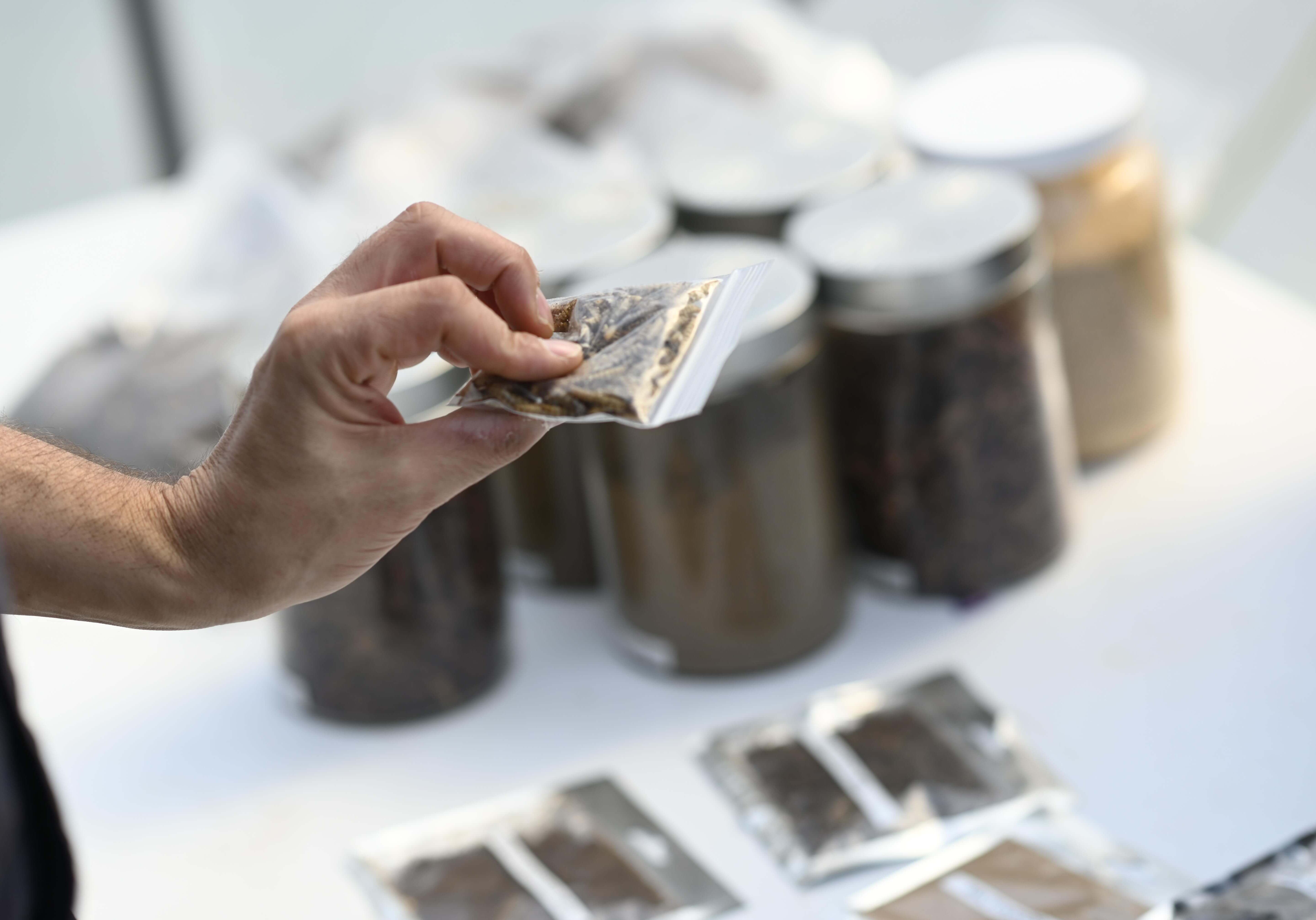 BUG_FARM_020 (1) Bug Farm